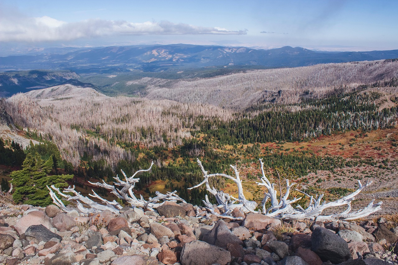 Mountain, autumn, oregon, nature, landscape