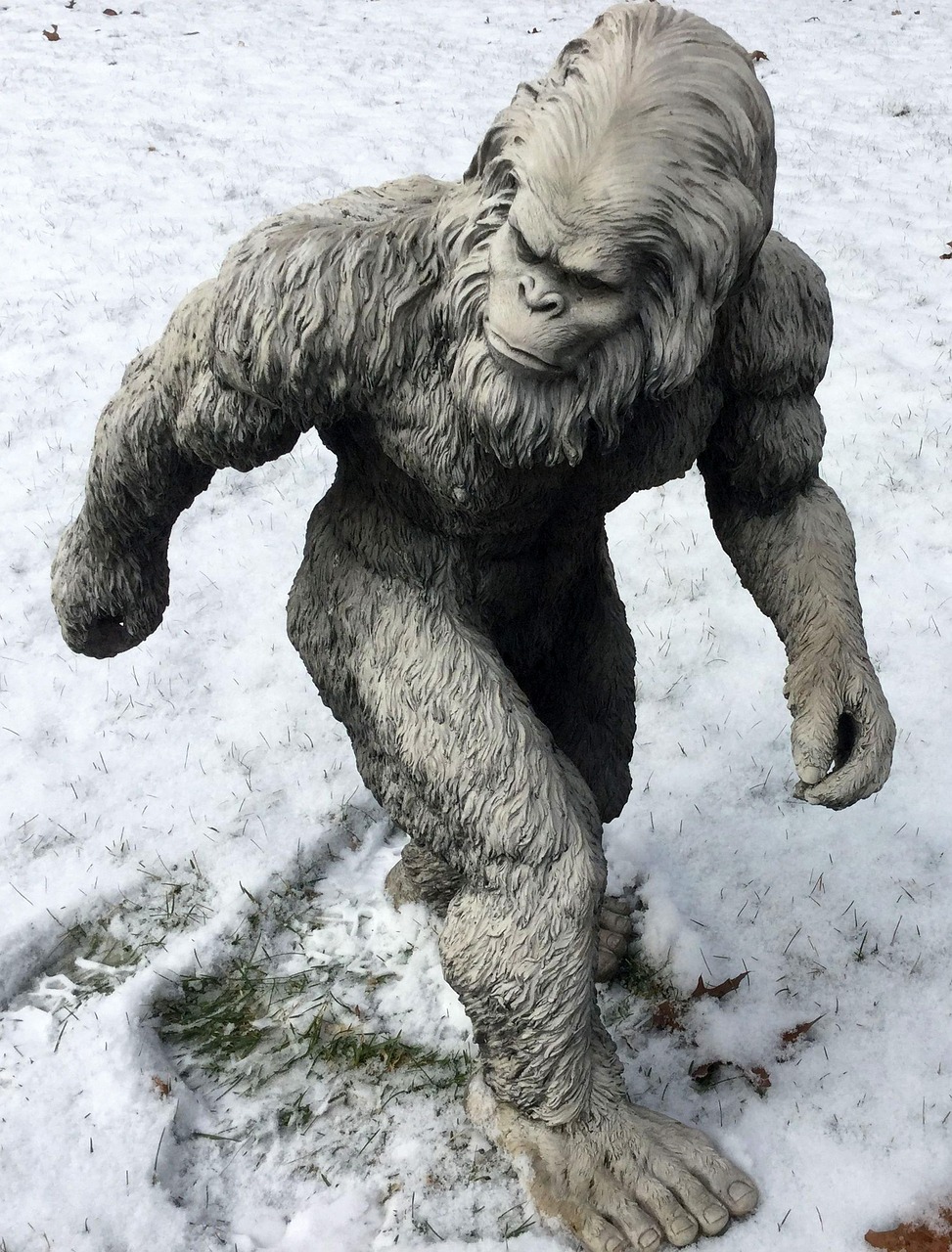 Bigfoot, sasquatch, yeti, abominable snowman, skunk ape, almas, yowie, criptic homonid, cryptozoology, cuyahoga falls, ohio, usa, bigfoot, bigfoot, bigfoot, bigfoot, bigfoot, sasquatch, yeti, yeti, ye