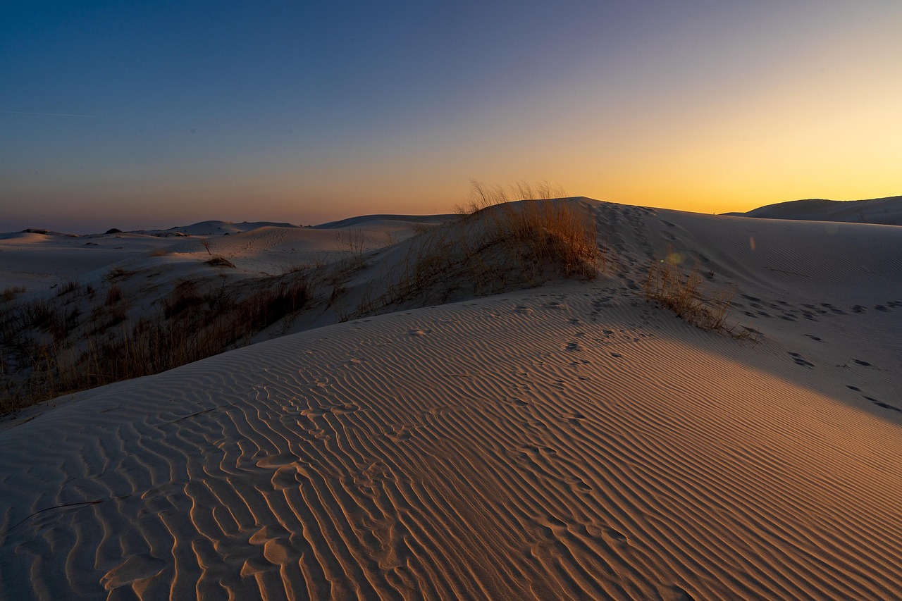 Sand, dunes, desert, sunrise, texas, nature, landscape