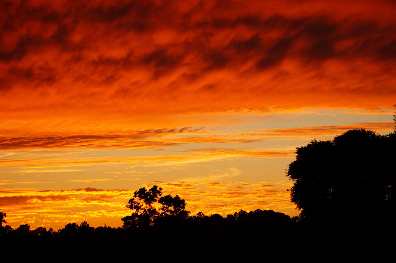 Sunset, evening, sky, alabama sunset, nature, orange sky, cloudy sunset, landscape