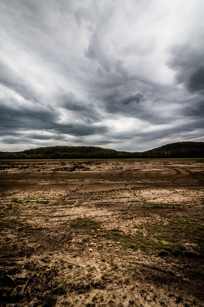 Field, rural, countryside, trees, hill, nature, sky, clouds, ohio, landscape