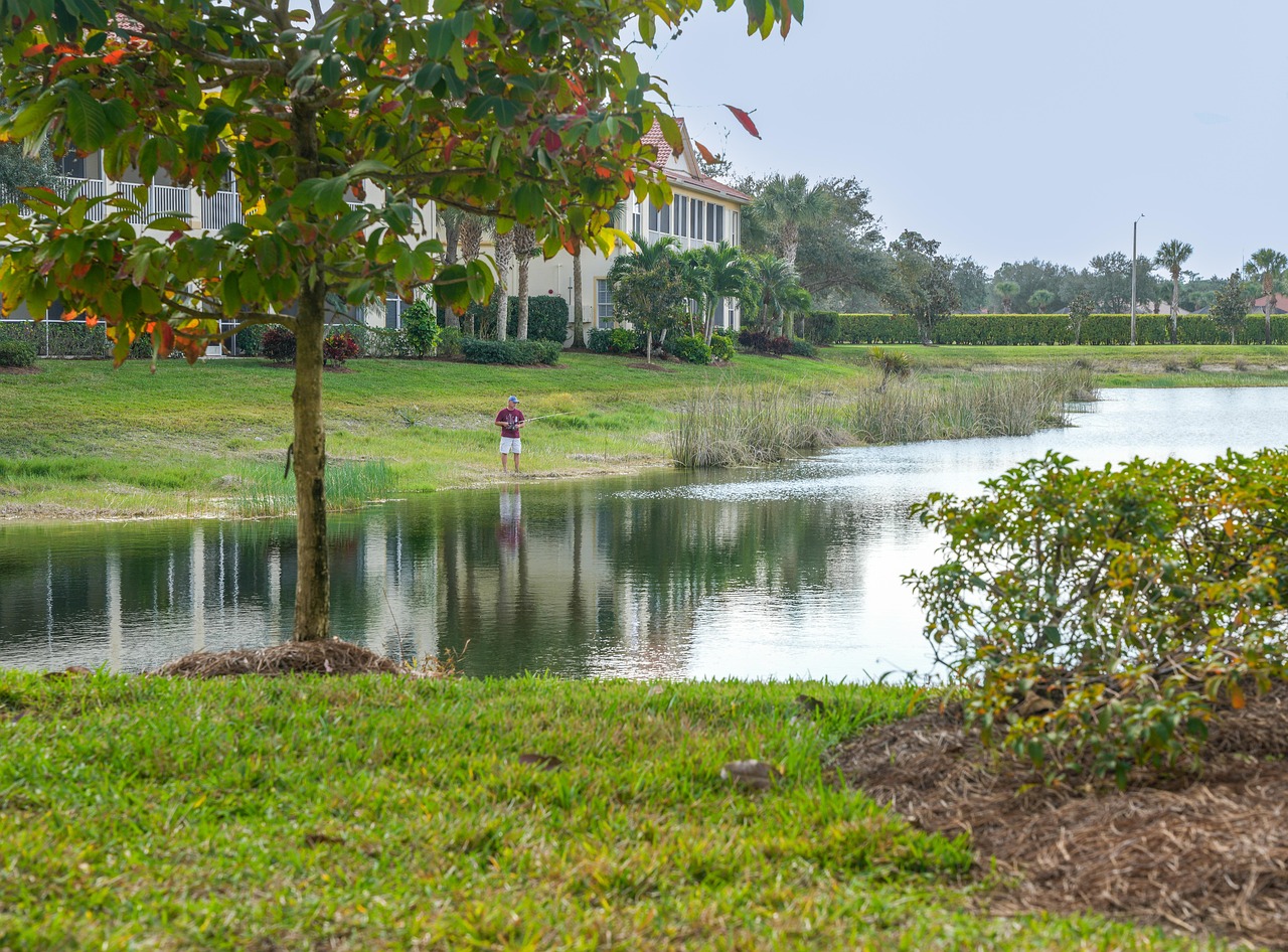 Florida, lake, nature, pond, landscape