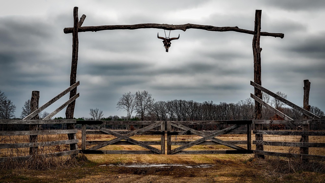 Texas, ranch, entrance, fence, cow skull, hdr, sky, nature, clouds, landscape, farm, field, meadow