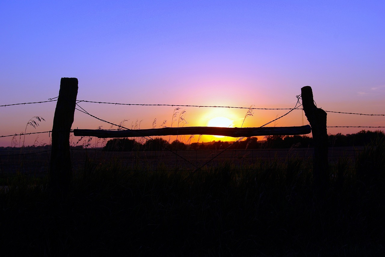 Halstead kansas sunset, sun, sunset, sky, mood, landscape, dusk, dawn, atmospheric, sunrise, evening, twilight, yellow, orange, fence, posts, wire, barbed, purple, summer, black, nature, kansas