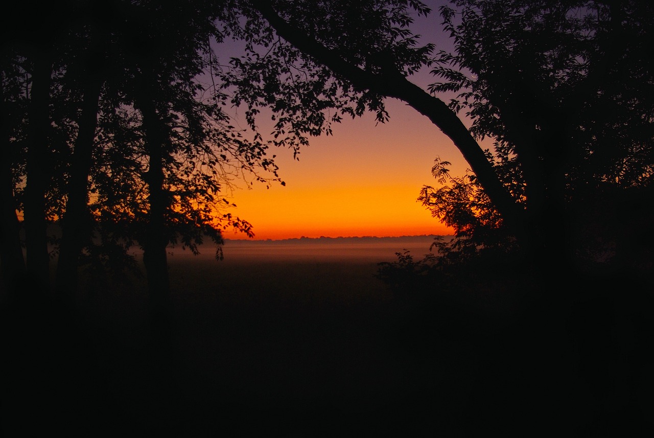 Ground mist illinois dawn, dawn, morning, outdoor, color, scene, bright, mist, landscape, ground, dusk, sky, fog, orange, colorful, nature, evening, sunrise, natural, scenic, sunset, black landscape,