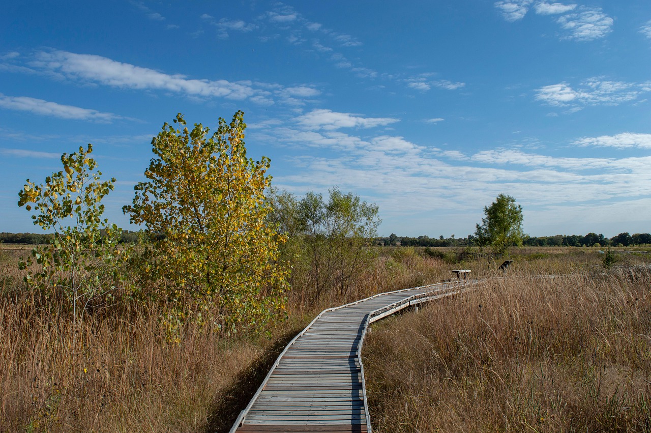 Fall, baker university wetlands, boardwalk, nature, autumn, wetlands, landscape, trail, nature trail, clouds, sky, wildlife preserve, kansas, lawrence, kansas, kansas, kansas, kansas, kansas