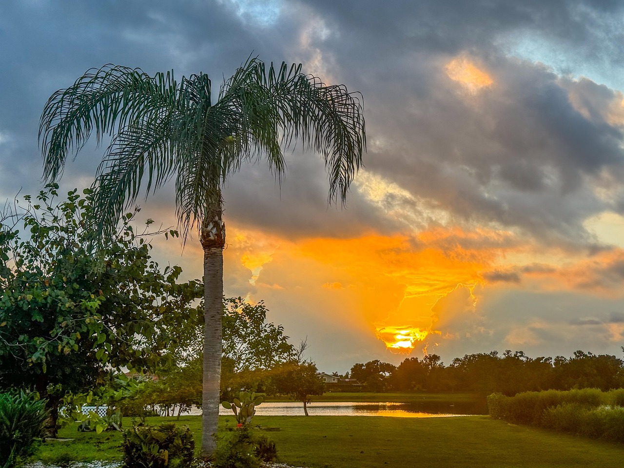 Tropical, sunset, dusk, sky, nature, landscape, United States, Florida, Harbour Heights
