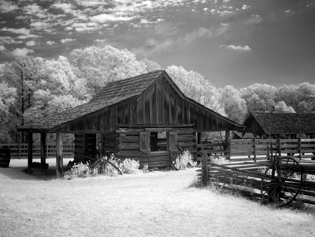 Barn, stadl, agriculture, rural, nature, grass, landscape, meadow, fields, wooden hut, hut, alabama, usa, america, united states, farm, ranch, carol m highsmith, sw, infra red, black-and-white, landma