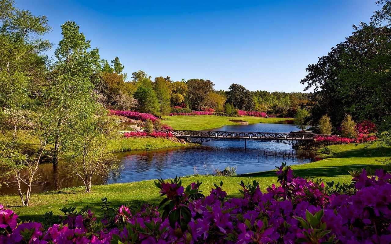 Bellingrath gardens, alabama, landscape, scenic, nature, outside, outdoors, country, countryside, rural, idyll, picturesque, tourism, flowers, plants, garden, flower background, shrubs, bushes, forest