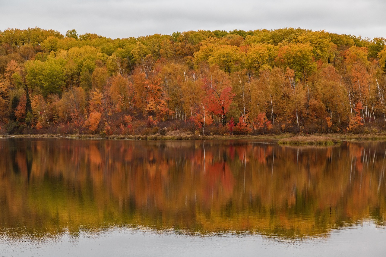Usa, landscape, nature, travel, clouds, scenic, minnesota, fall, autumnal, lake, genskær, reflections, autumn leaves, silence, colors, water, trees, minnesota, minnesota, minnesota, minnesota, minneso