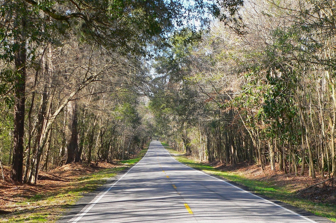 South carolina, country, countryside, nature, outside, road, trees, summer, spring, south carolina, south carolina, south carolina, south carolina, south carolina