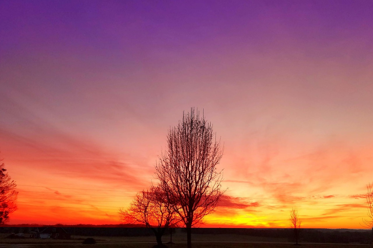Sunset, nature, landscape, sky, tree, dusk, twilight, summer, scenery, ky, kentucky, evening, kentucky, kentucky, kentucky, kentucky, kentucky