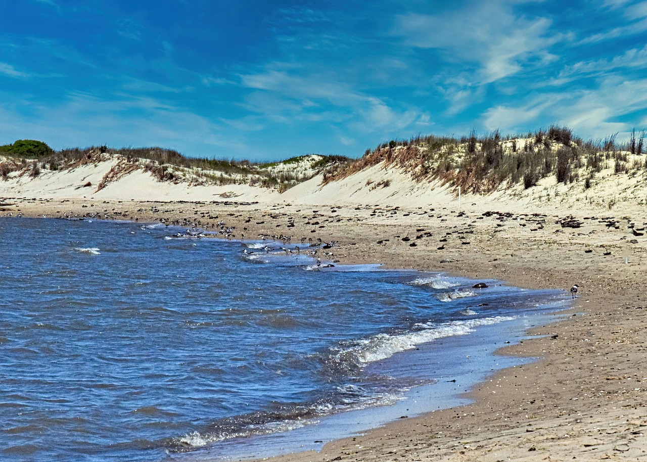 Beach, dunes, sand, landscape, coast, inlet, nature, cape henlopen, delaware usa