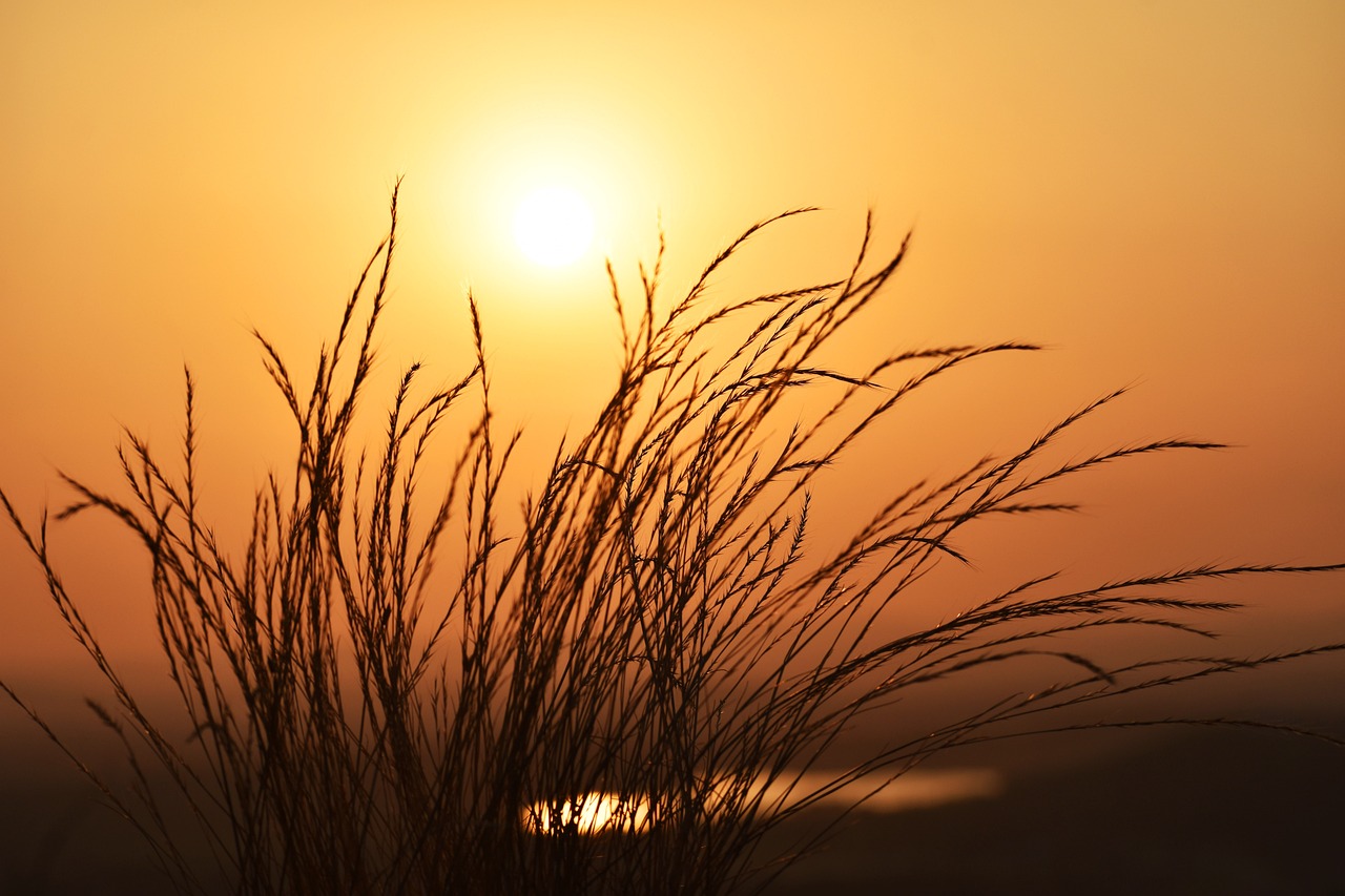 Sunset, grass, lake, water, evening, mountain, landscape, sky, nature, sun, scenic, travel, country, countryside, hills, valleys, usa, oklahoma, outdoors, oklahoma, oklahoma, oklahoma, oklahoma, oklah