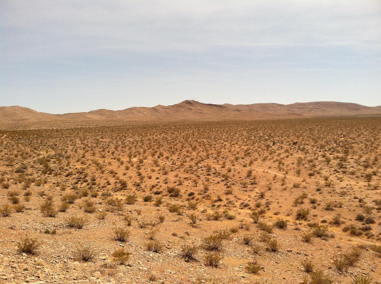 Desert, dry, sand, landscape, wilderness, scenery, natural, wild, outdoor, environment, scenic, nature, land, United States, Nevada, Enterprise