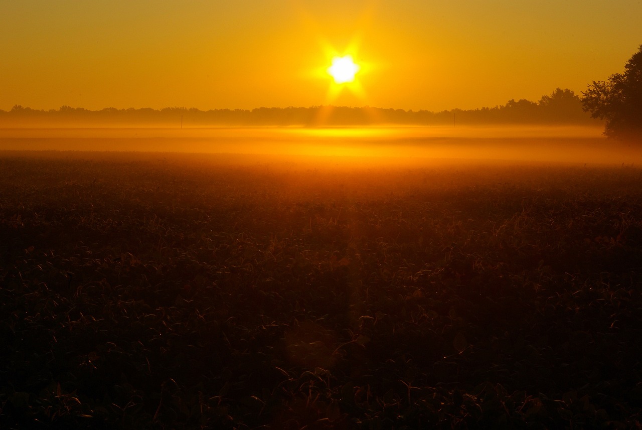 Sunrise over illinois field, dawn, sunrise, sun, sky, mist, ground, fog, sunset, nature, landscape, evening, morning, scenic, color, golden, orange, yellow, scene, clouds, natural, dusk, outdoor, brig
