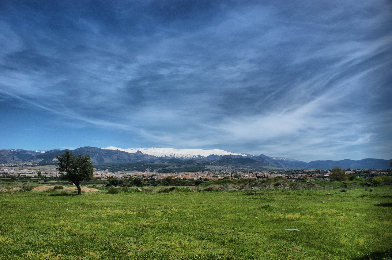 Sierra, nevada, field, landscape, sierra nevada, sierra, nevada, sierra nevada, sierra nevada, sierra nevada, sierra nevada, sierra nevada