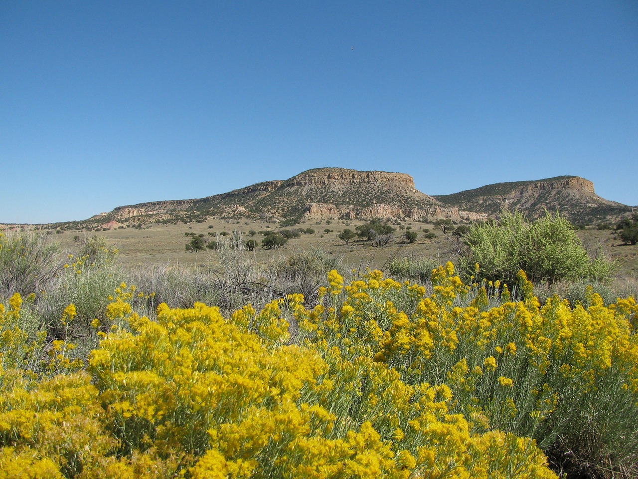 New mexico, butte, scenic, outside, countryside, formation, sky, wildflowers, nature, landscape, outdoors, new mexico, new mexico, new mexico, new mexico, new mexico