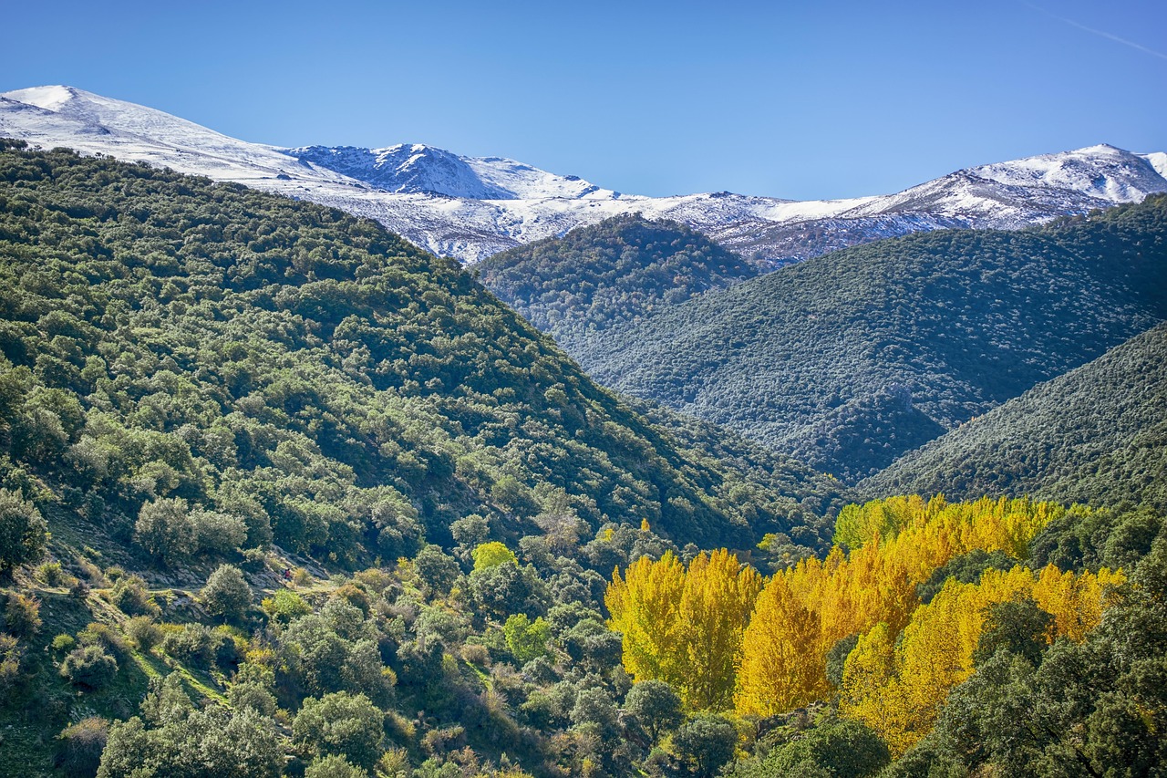 Landscape, moutains, snow, autumn, trees, sierra nevada, nature, granada