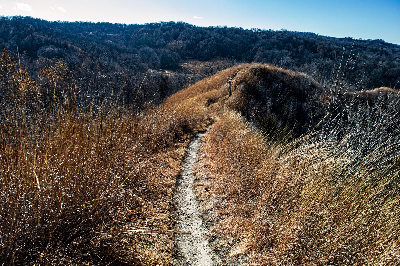 Loess bluffs, national wildlife refuge, missouri wildlife, missouri, wildlife, flora, loess hills, prairie, hiking, meadow, landscape, hills, paths, nature, bluffs, trail, winter, fall, grass, missour