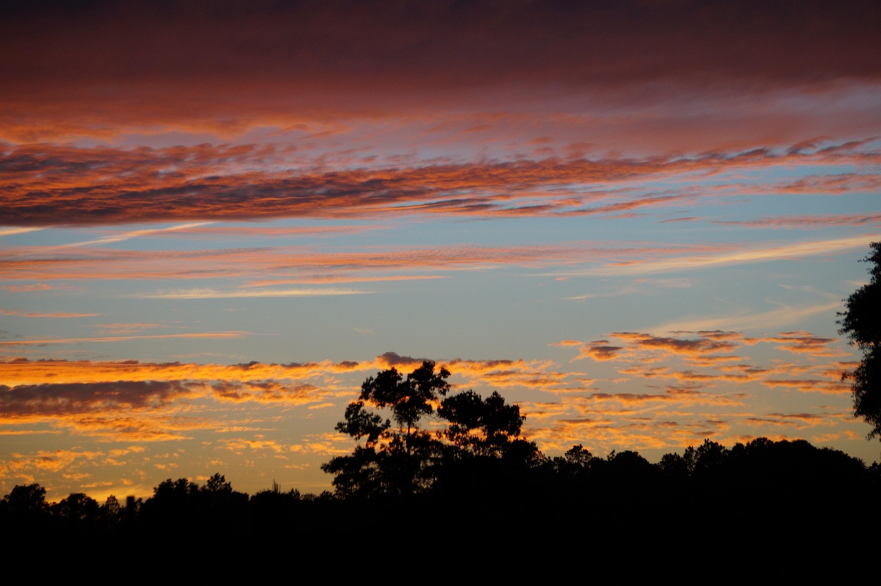 Sunset, evening, sky, alabama sunset, orange sky, nature, cloudy sunset, landscape