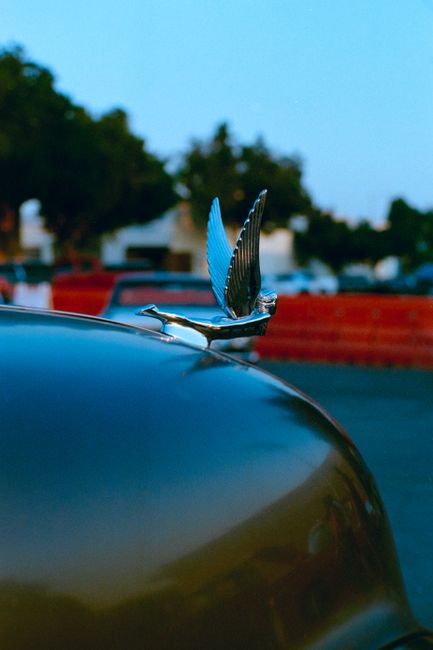 Classic car hood ornament detail at sunset in Fontana, California.