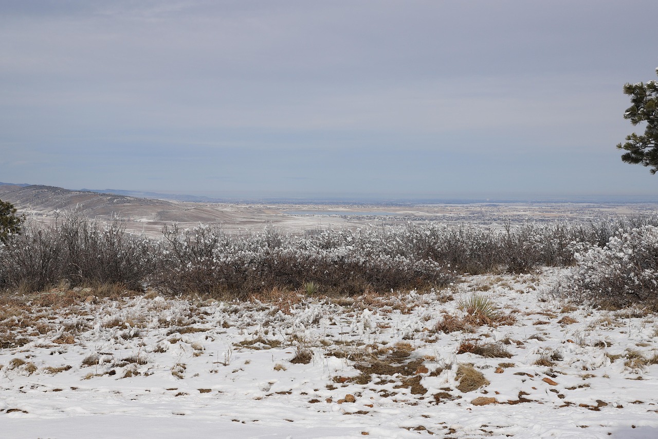 Snow, snowy, hiking, trail, nature, fort collins, lyons, colorado