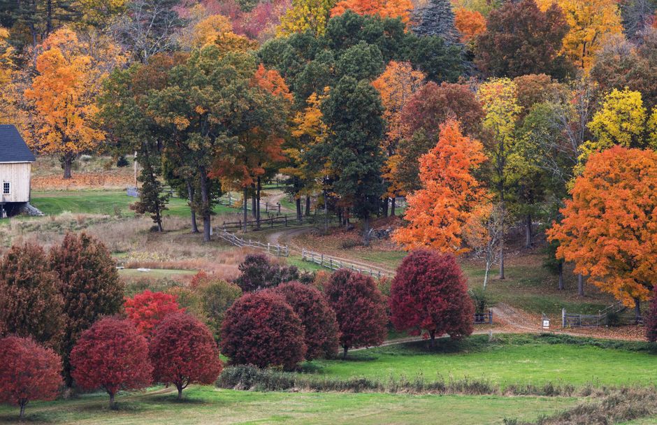 Colorful fall landscape with vibrant trees and a barn in Groton, Massachusetts.