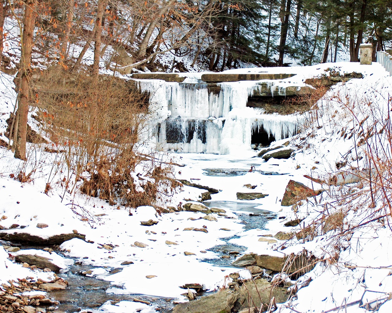 Winter, snow, landscape, wintry, nature, frozen, outdoors, west virginia
