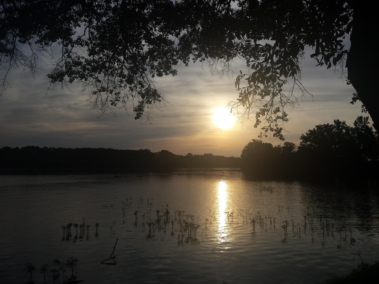 River, sunset, coosa river, water, sun, sky, nature, alabama, gadsden