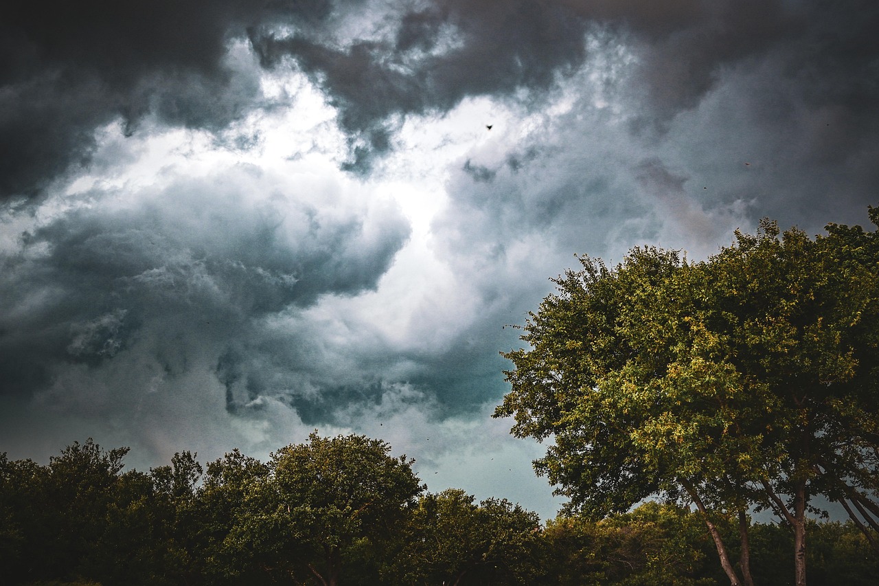 Trees, garland, sky, clouds, nature, unsettled, rain, storms, thunderstorms, windy, outdoors, weather, texas