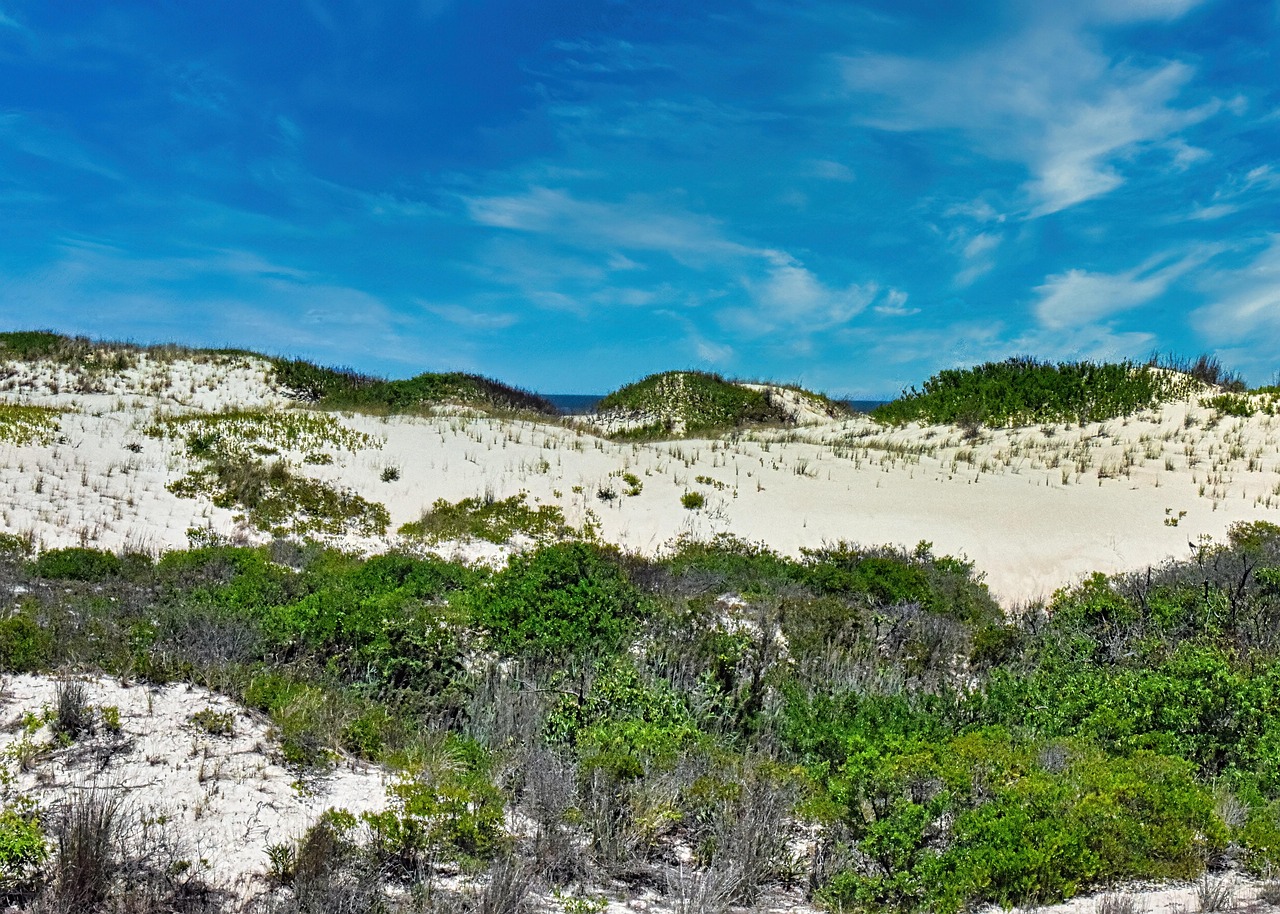Beach, dunes, nature, sand, landscape, coast, cape henlopen, delaware usa