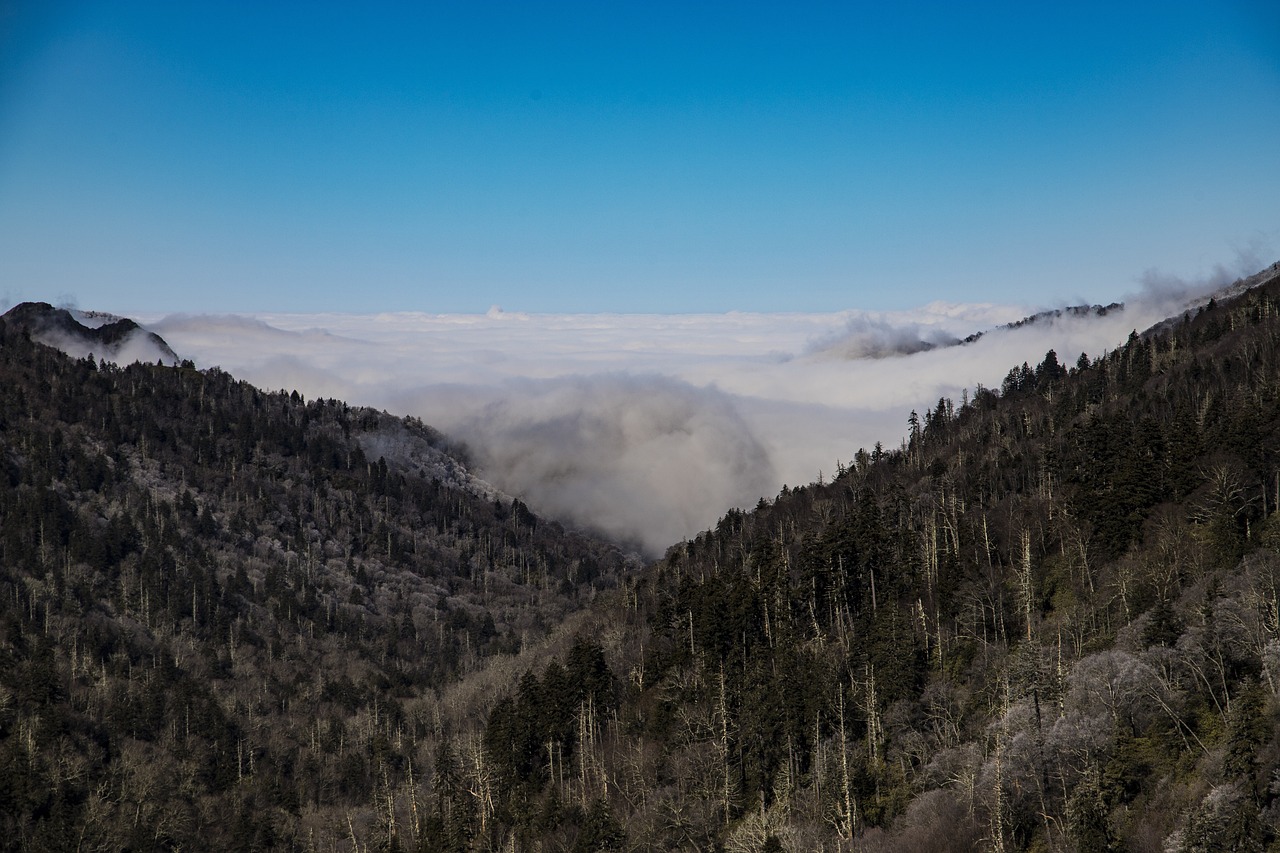 Smokey mountain national park, mountains, nature, tennessee, appalachian, landscape, smokey, outdoors, scenic, forest, travel, wilderness, woods, tourism, vacation, smokies, country, america, hills, l