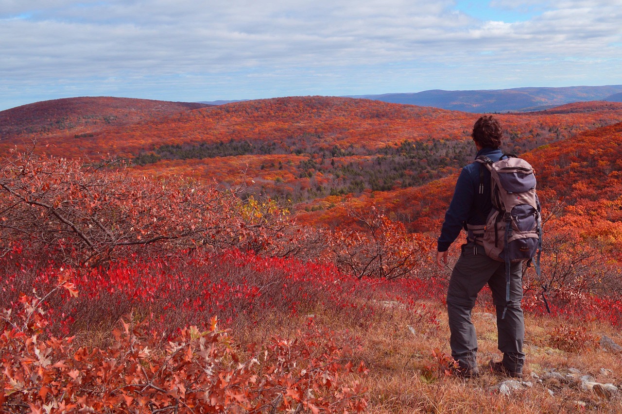 New york, fall, traveler, backpack, upstate new york, nature, trees, man, landscape, thinking, atmosphere, traveler, traveler, backpack, backpack, backpack, backpack, backpack, upstate new york, think