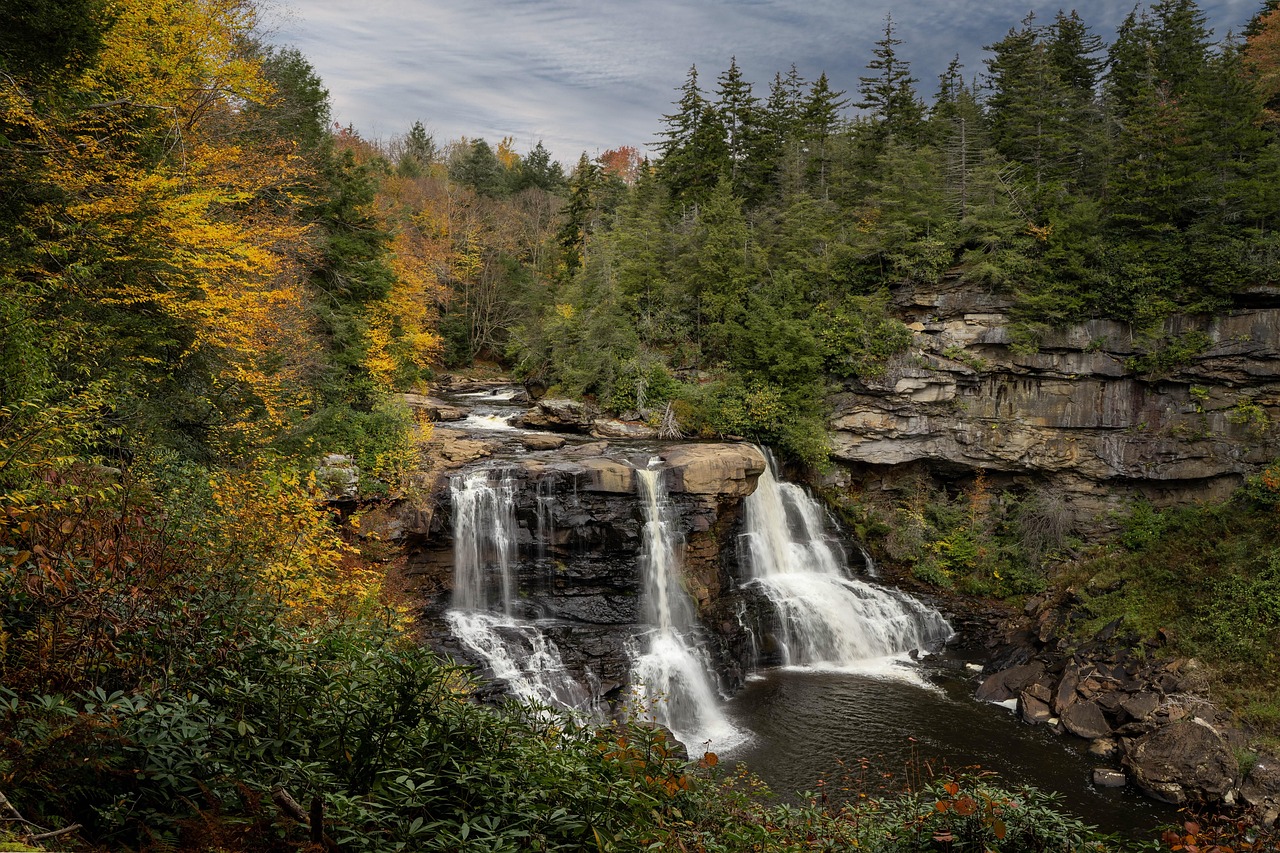 Blackwater falls, waterfall, blackwater falls state park, forset, landscape, nature, west virginia, river, forset, forset, west virginia, west virginia, west virginia, west virginia, west virginia