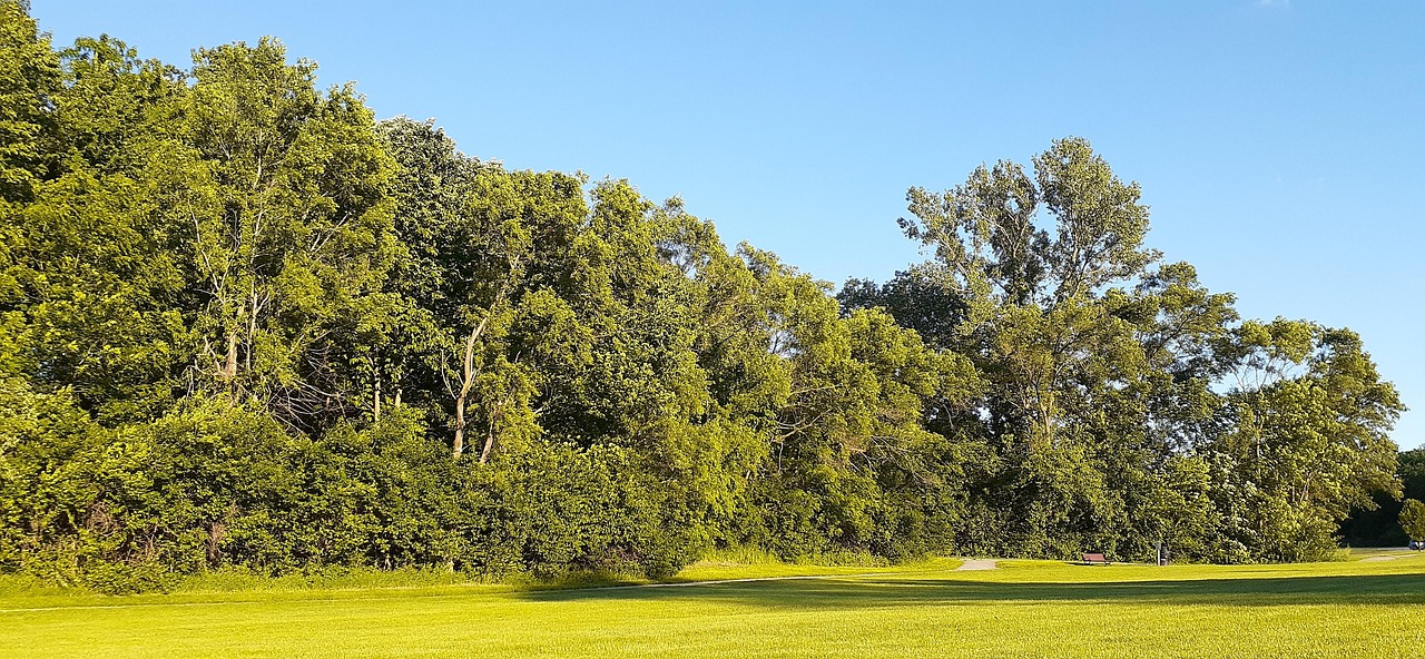 Park, trees, field, grass, grassland, woods, landscape, nature, outdoors, plattsmouth, nebraska, nebraska, nebraska, nebraska, nebraska, nebraska