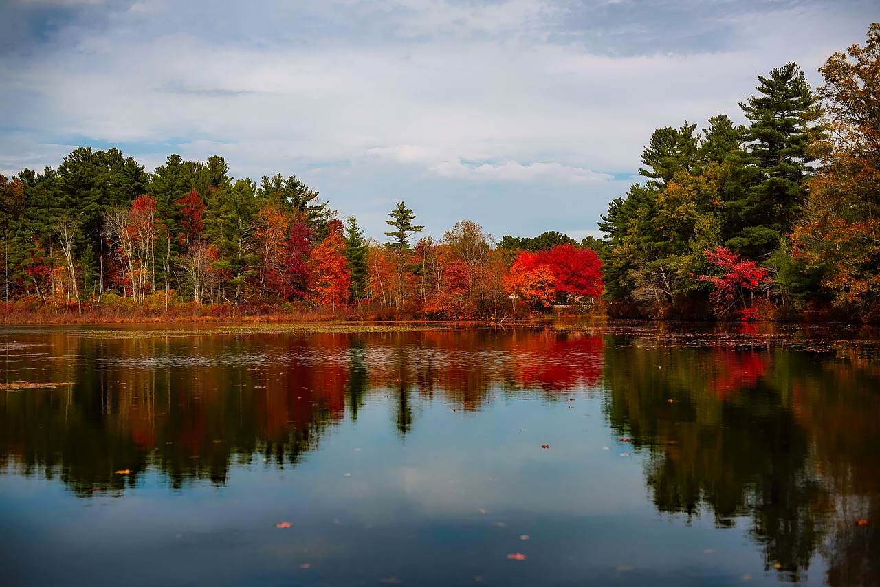 Massachusetts, lake, water, reflections, landscape, scenic, fall, autumn, colors, forest, trees, woods, nature, outdoors, country, rural, sky, clouds, beautiful, hdr