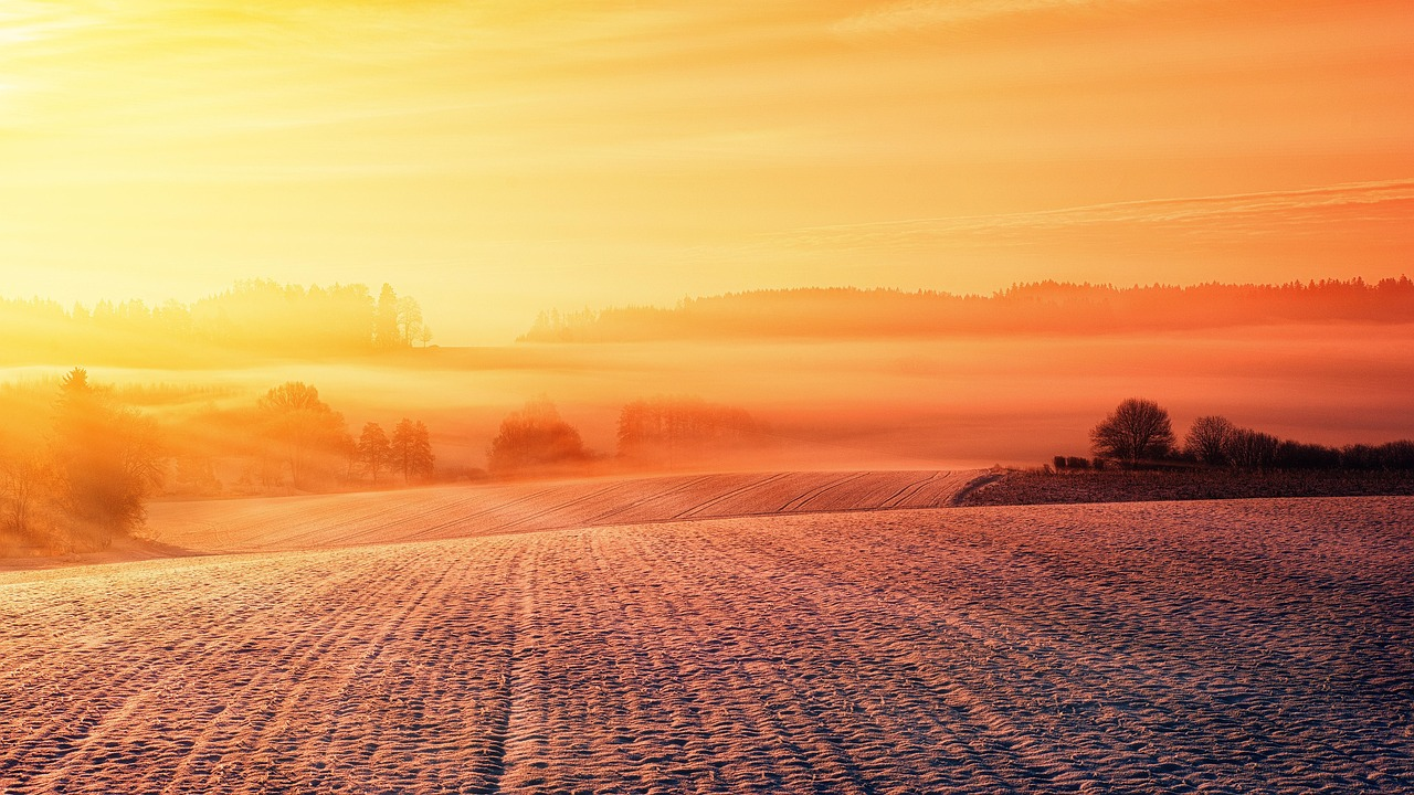 Snow, field, landscape, winter, nature, wintry, winter landscape, cold, snowy, orange, warm, sunset, dusk, embers, evening sky, hill, hilly, winter, winter landscape, orange, orange, warm, warm, warm,