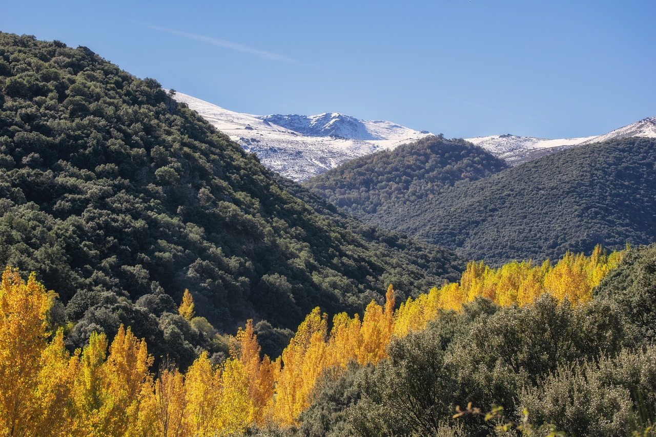 Autumn, trees, forest, landscape, colorful, lugros, nature, granada, sierra nevada