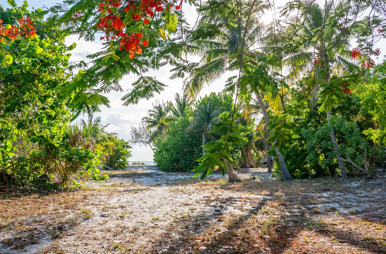 Keewaydin island, tropical, beach, landscape, nature, travel, florida