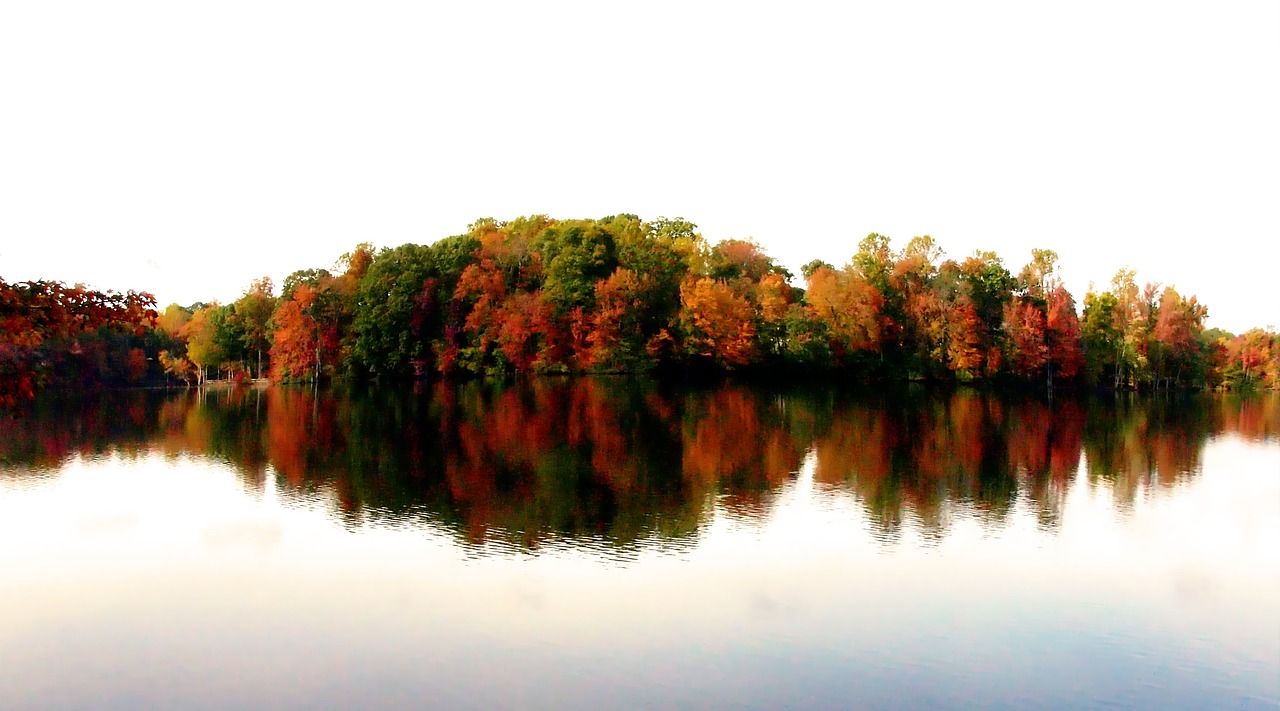 North carolina reflections, autumn leaves, reflections, foliage, water, lake, landscape, wilderness, scenery, natural, wild, outdoor, environment, scenic, land, nature