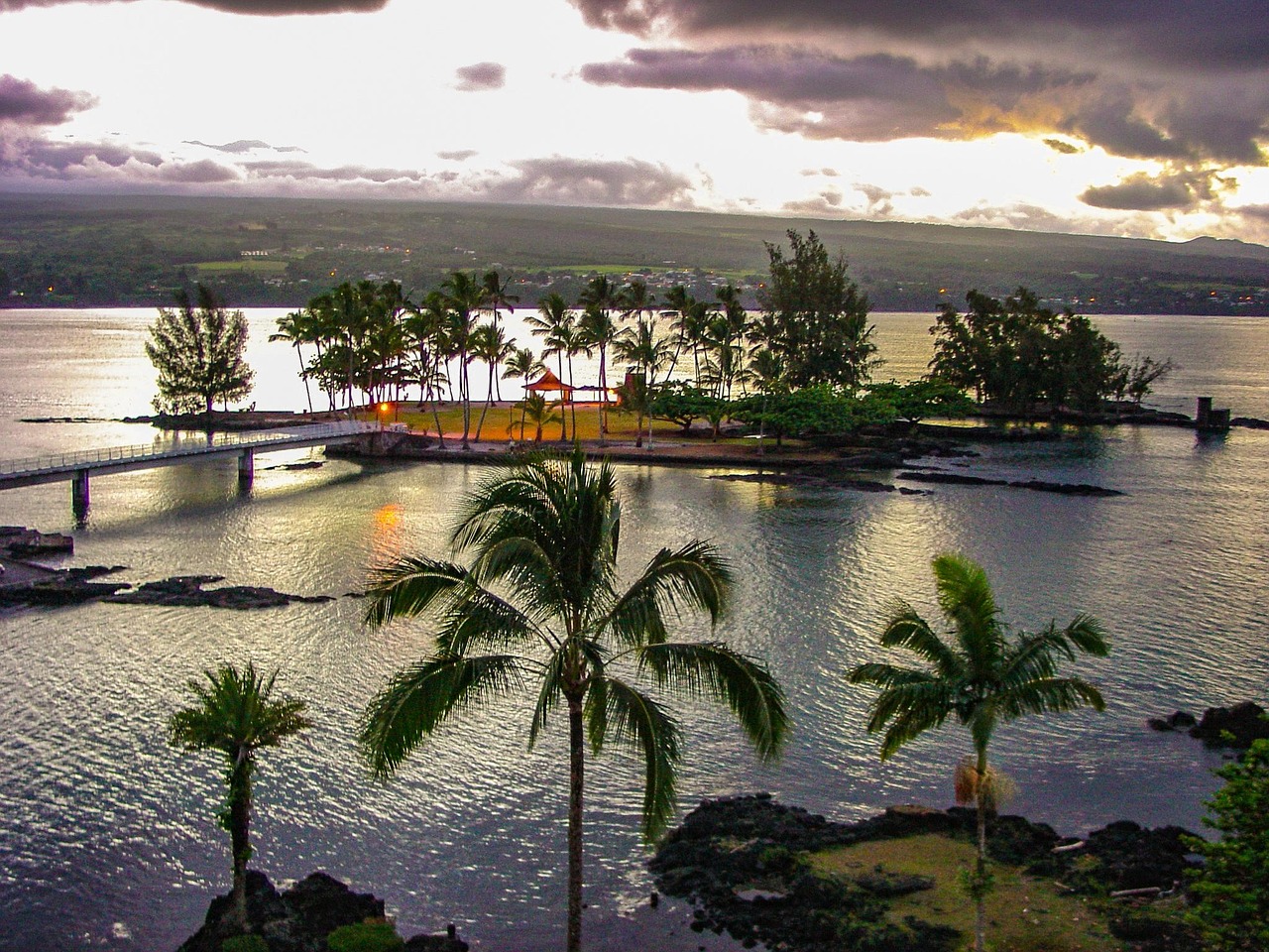 Coconut, island, hilo, hawaii, palm, nature, trees, dusk, tropical