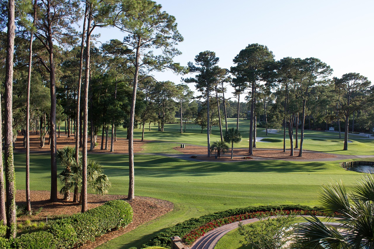 Golf course, south carolina, fairway, green, golf, course, south, sport, leisure, grass, summer, sc, lawn, trees, activity, recreation, resort, water, golfer, pond, golfing, nature, landscape, vacatio