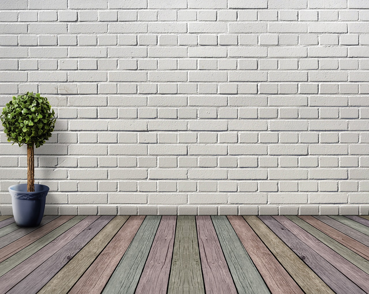 Space, empty, wooden floor, plant, plant pot, boxwood, deco, houseplant, white, inner space, wooden floorboards, coloured, wall, room, stone wall, architecture, living room, floor, nature, inside, bri