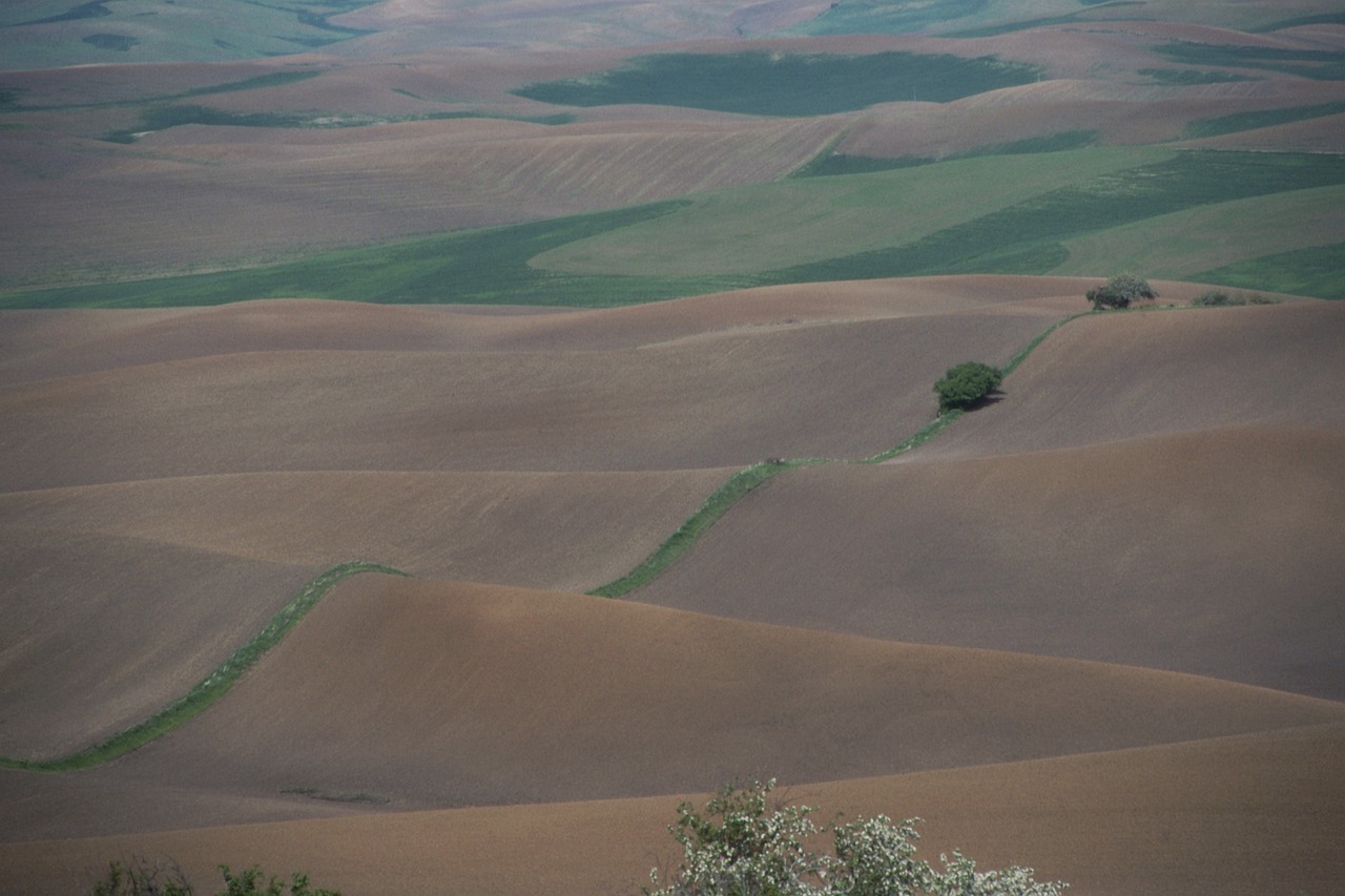 Field, fallow, idaho, usa, landscape, brown, palouse, idaho, palouse, palouse, palouse, palouse, palouse