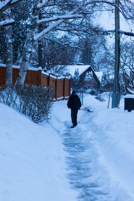 Person shoveling snow on a residential street on a winter morning
