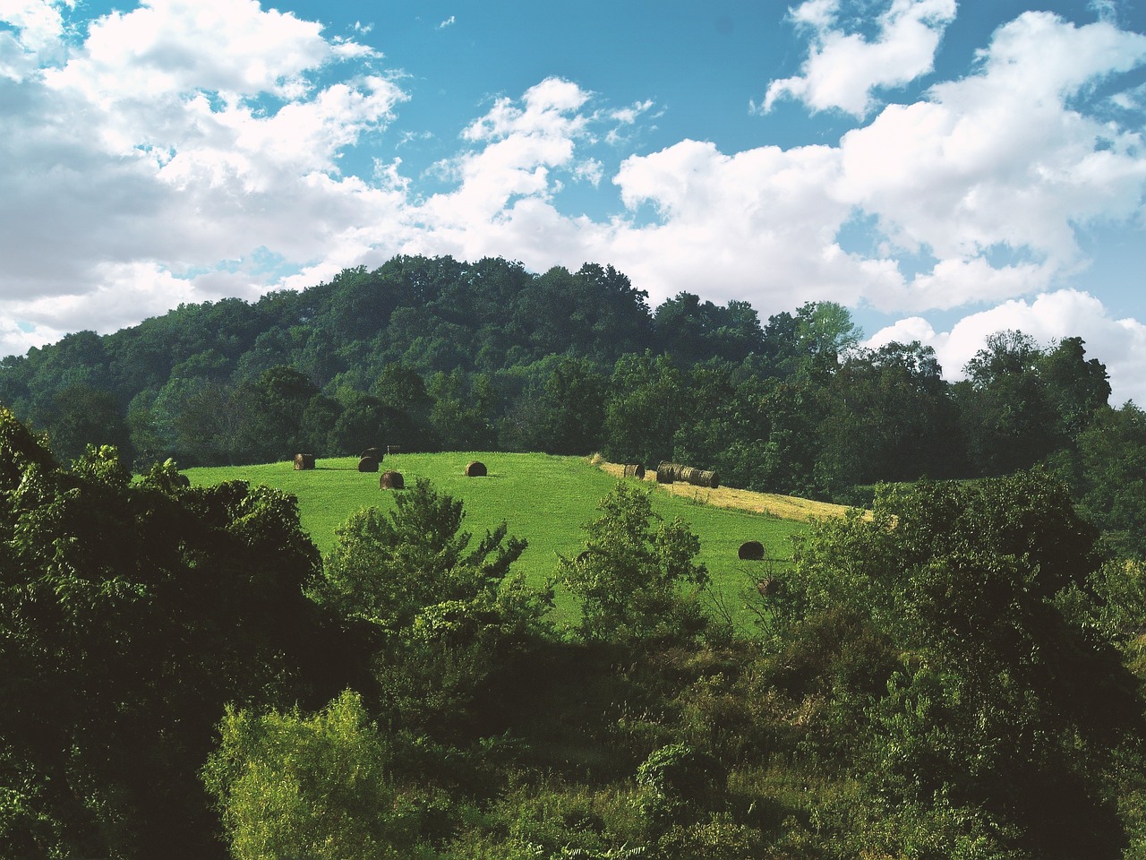 Scenery, landscape, blue sky, kentucky, nature, scenic, outdoor, light, scene, forest, sky, natural, sun, weather, sunlight, summer, blue, environment, bright, tree, travel, sunny, hay, country, cloud