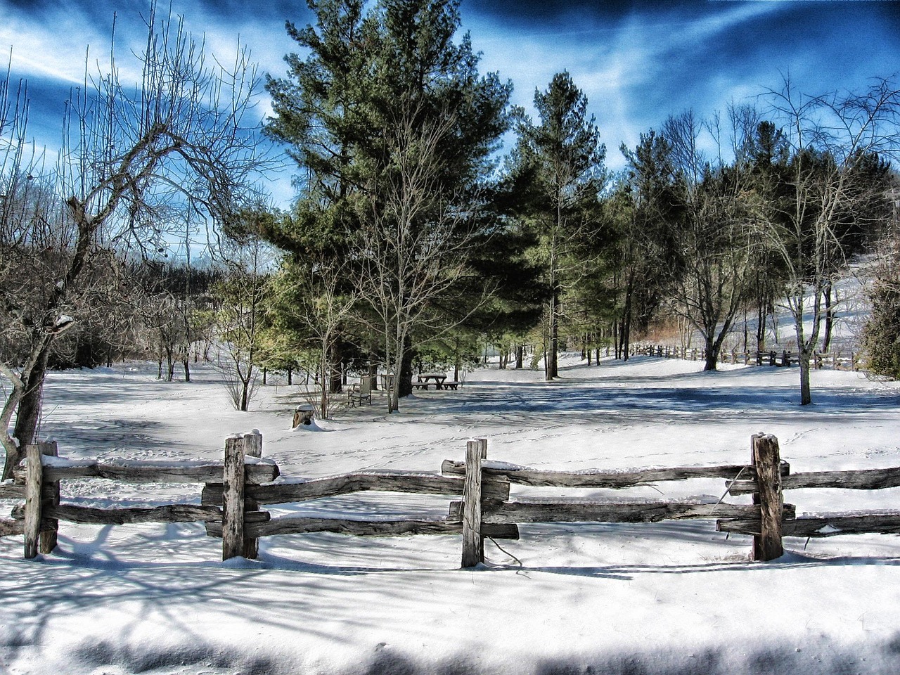 North carolina, landscape, scenic, trees, nature, sky, clouds, winter, snow, fence, rural, country, countryside, hdr