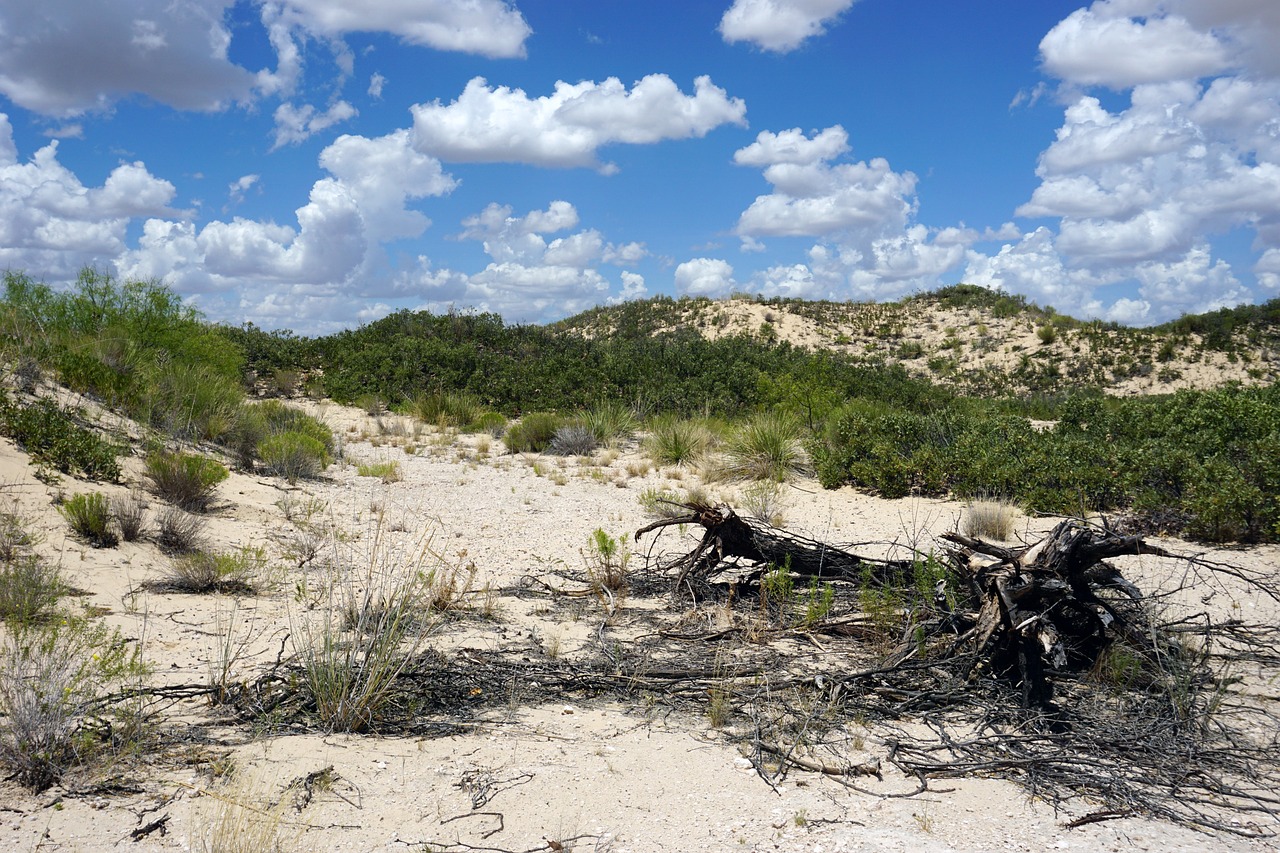 Dunes, sand, sand dunes, cumulus, sky, clouds, landscape, monahans, nature, sandhills, texas