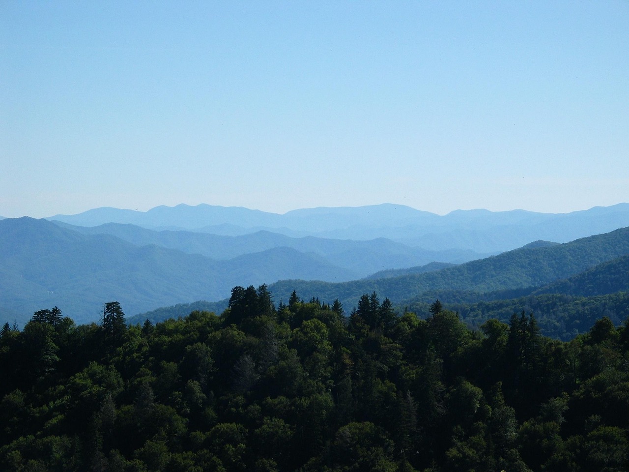 Smoky mountains, tennessee, landscape, wilderness, appalachian, smoky mountains, smoky mountains, smoky mountains, smoky mountains, tennessee, tennessee, tennessee, tennessee, tennessee, appalachian,